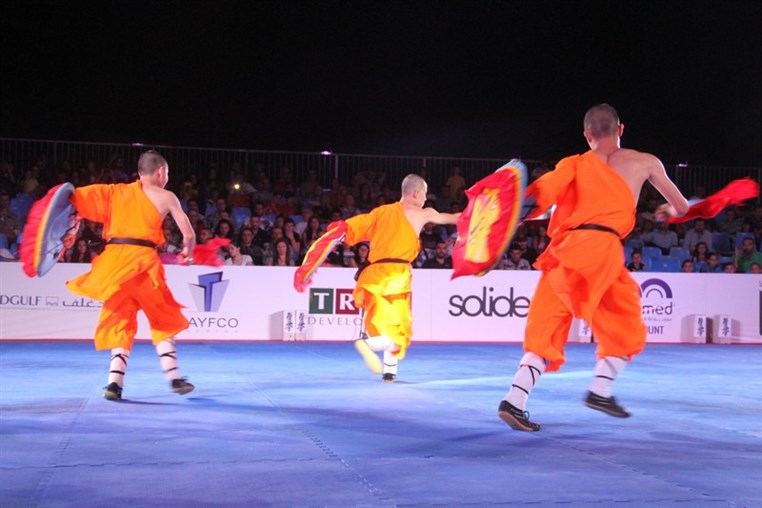 Martial Arts Festival
